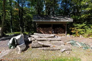 163 Goose Pond Rd, Greentown, PA 18357 - Photo 31