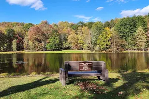 41 Deerfoot Rd, Lake Ariel, PA 18436 - Photo 45