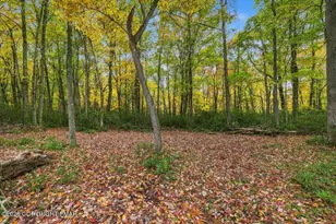 33 Sioux Cir, Jim Thorpe, PA 18229 - Photo 11