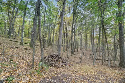  259 Sandlewood Drive, East Stroudsburg, PA 18301 - Photo 43