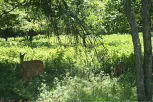 D2178 Old Stage Rd, Albrightsville, PA 18210 - Photo 1