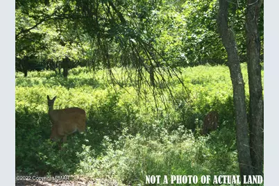  J752 Yellow Run Road, Jim Thorpe, PA 18229 - Photo 1