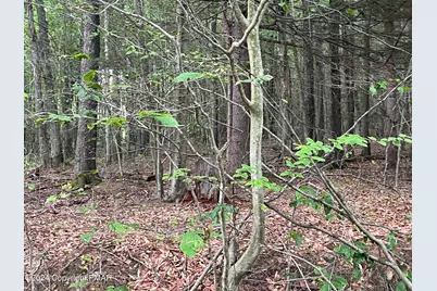  131 Cardinal - 2229 Drive, Covington Township, PA 18424 - Photo 5