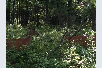  B179 Forest Lake Drive, Jim Thorpe, PA 18229 - Photo 1