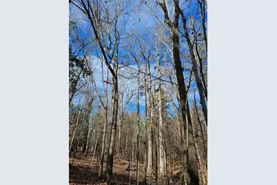 Lot 4 Elberton Highway, Lincolnton, GA 30817 - Photo 1