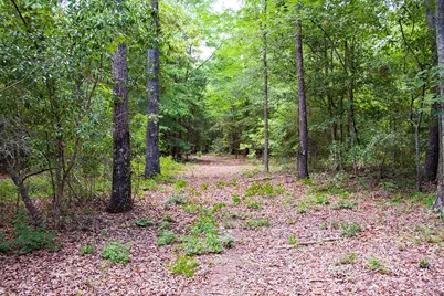 1515G Hephzibah - McBean Road, Hephzibah, GA 30815 - Photo 1