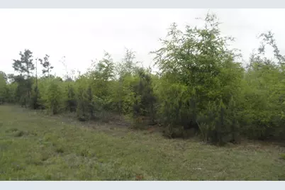 00 Highway 23, Waynesboro, GA 30830 - Photo 1