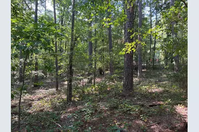 Lot 7 Hummingbird Lane, McCormick, SC 29835 - Photo 5