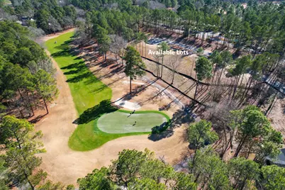 312 True Cedar Way, Aiken, SC 29803 - Photo 51