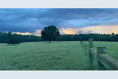 1792 Appleton Road, Allendale, SC 29810 - Photo 61