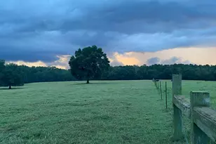 1792 Appleton Rd, Allendale, SC 29810 - Photo 61