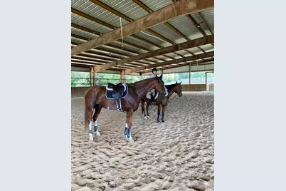 1792 Appleton Road, Allendale, SC 29810 - Photo 65