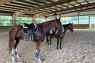 1792 Appleton Rd, Allendale, SC 29810 - Photo 65