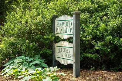 1792 Appleton Road, Allendale, SC 29810 - Photo 3