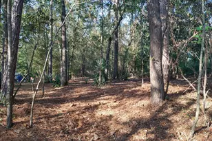 3801 Clanton Rd, Augusta, GA 30906 - Photo 25