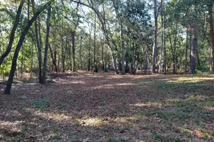 3801 Clanton Rd, Augusta, GA 30906 - Photo 29