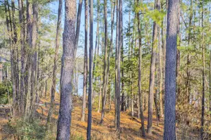 305 Kingfisher Point, McCormick, SC 29835 - Photo 39