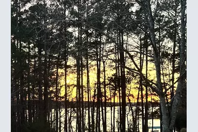 184 Savannah Drive Drive, McCormick, SC 29835 - Photo 71