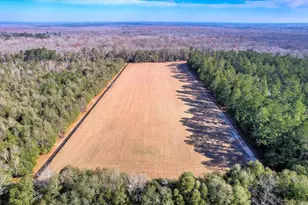 1114 Lott Bluff Rd, Blackville, SC 29817 - Photo 7