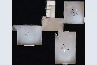 634 Slade Lake Drive, North Augusta, SC 29841 - Photo 29