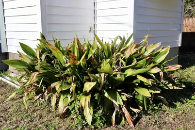 2165 Rosier Road, Augusta, GA 30906 - Photo 41