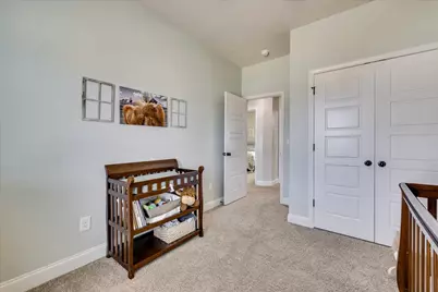 317 Brass Court, Trenton, SC 29847 - Photo 41