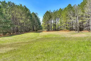 6437 Cobbham Rd, Appling, GA 30802 - Photo 37