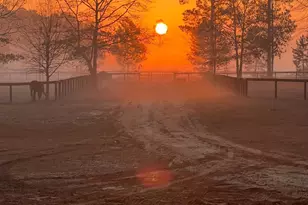 657 Tolt Trl, Aiken, SC 29801 - Photo 41