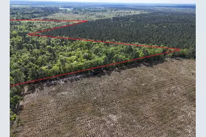 0 305 Highway, Midville, GA 30441 - Photo 3