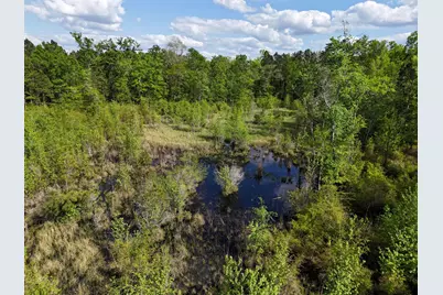 0 305 Highway, Midville, GA 30441 - Photo 9