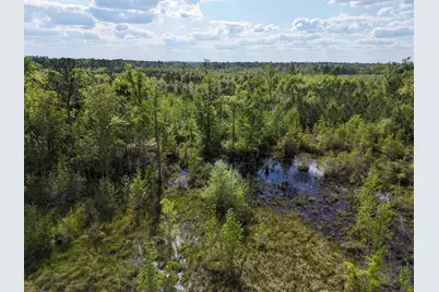 0 305 Highway, Midville, GA 30441 - Photo 13