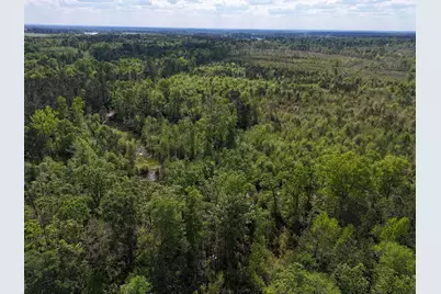 0 305 Highway, Midville, GA 30441 - Photo 17