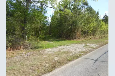 0 305 Highway, Midville, GA 30441 - Photo 23