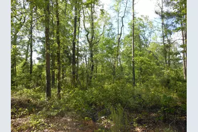 0 305 Highway, Midville, GA 30441 - Photo 25