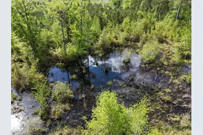 0 305 Highway, Midville, GA 30441 - Photo 11