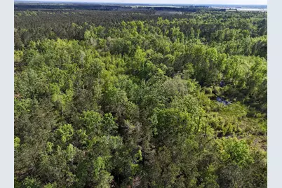 0 305 Highway, Midville, GA 30441 - Photo 19