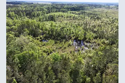 0 305 Highway, Midville, GA 30441 - Photo 15