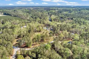 7025 Rance Perry Rd, Appling, GA 30802 - Photo 33