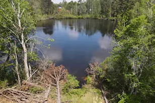 1163 Fairlane Dr, Louisville, GA 30434 - Photo 3