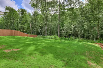 839 Snow Bunting Court, North Augusta, SC 29860 - Photo 53