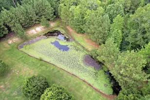 2946 Upper Mill Rd, McCormick, SC 29835 - Photo 71