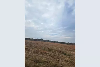 0 Elberton Highway, Lincolnton, GA 30817 - Photo 5