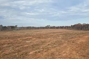 0 Elberton Hwy, Lincolnton, GA 30817 - Photo 1