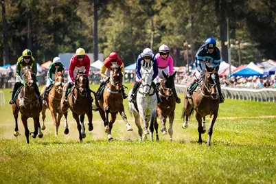 8132 Snelling Drive, Aiken, SC 29803 - Photo 45