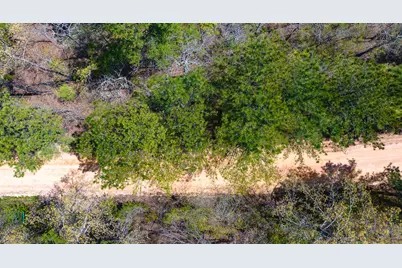 Lot 4 Bluffwood Road, Wagener, SC 29164 - Photo 5