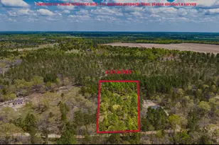 Lot 4 Bluffwood Rd, Wagener, SC 29164 - Photo 1