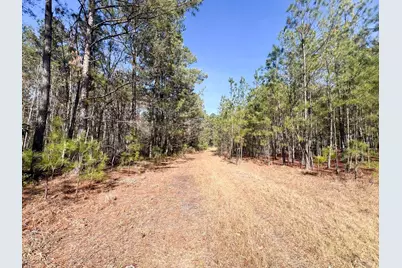 1014 Iler Road, Pembroke, GA 31321 - Photo 3