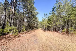 1014 Iler Rd, Pembroke, GA 31321 - Photo 3