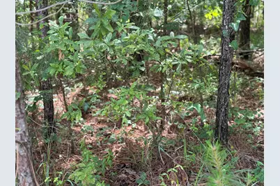 0 Mt Vintage Drive #Lot E-5, North Augusta, SC 29860 - Photo 7