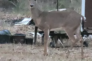 6629 Eubank Dr, Appling, GA 30802 - Photo 25